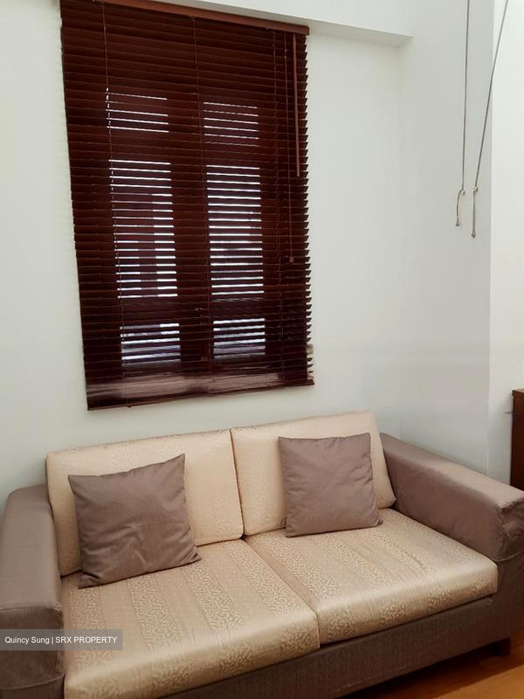 Joo Chiat Place (D15), Apartment #482031311